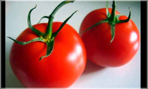 TOMATE-HMTV-Noticias