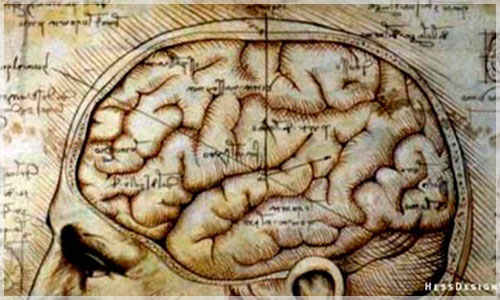 El-Control-de-la-mente-sobre-el-cuerpo