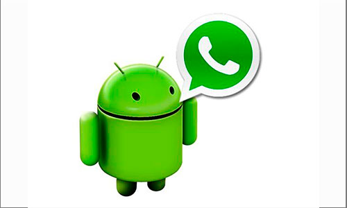 Ocultar-La-Coneccion-de-Whatsapp