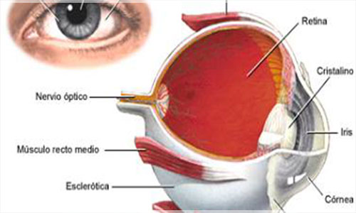 Retinitis